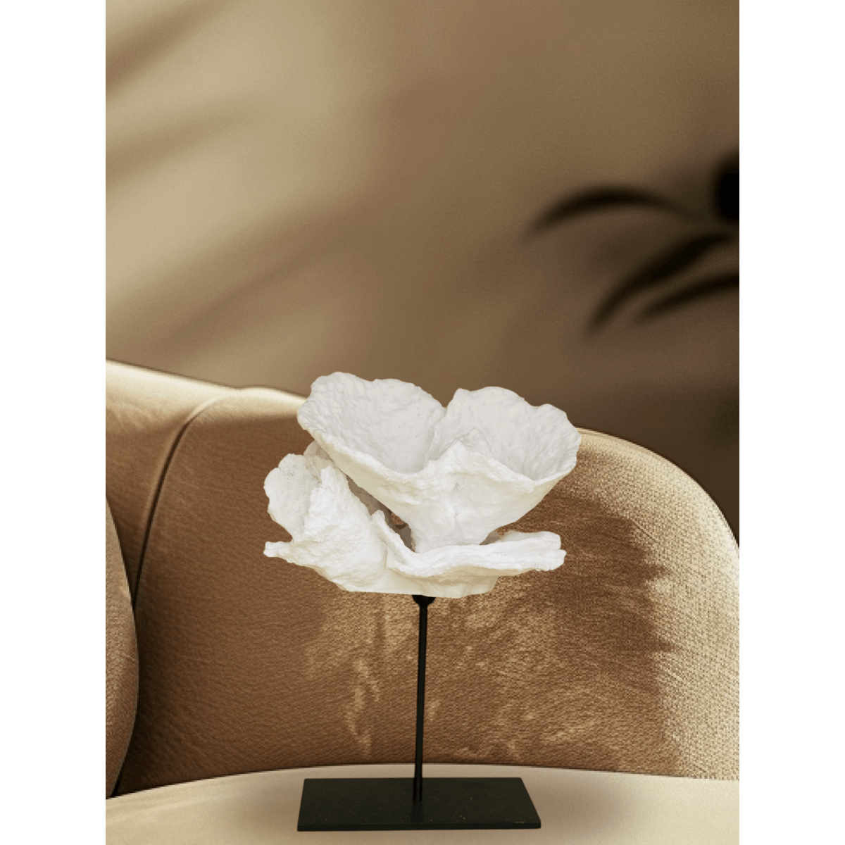 Korallenblume - Daily Stuff